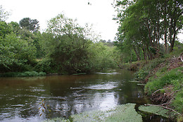 Canoe Land