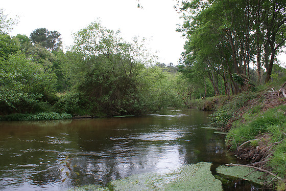 Canoe Land - photo 2