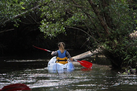 Canoe Land - photo 3