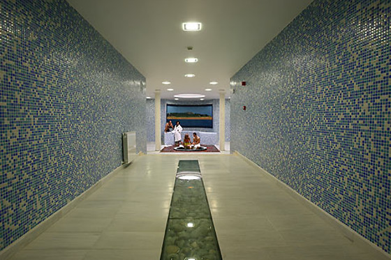 SPA RURAL MIES DE RUBAYO - photo 9