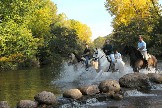 CABALLOS DE LA ARLANZA - photo 2