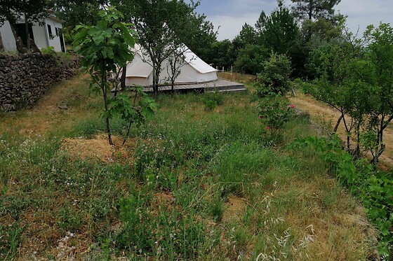 Les Jardins Célestes - photo 2