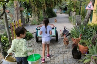Casa das Palmeiras em Mangualde