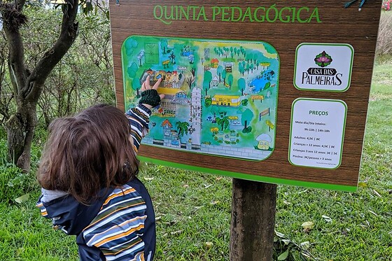 Casa das Palmeiras em Mangualde