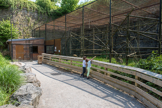 Parc zoologique de Maubeuge - photo 18