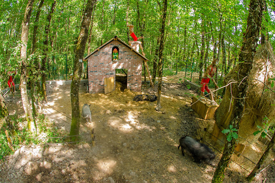 Defiplanet - photo 12