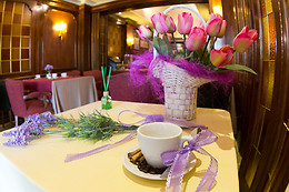 HOTEL LOS HABANEROS