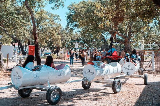 Workshop de gin tónico para 2 | Vila do Gin – Parque temático Black Pig em Vila Nova de Santo Andre