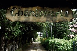 Le Manoir de Chantemerle