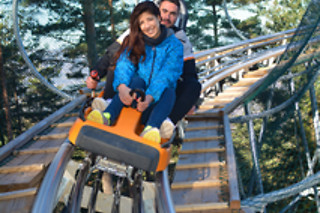 Alpine Coaster e Percurso Aventura para 1 em Pena Aventura Park em Ribeira de Pena (Vila Real)