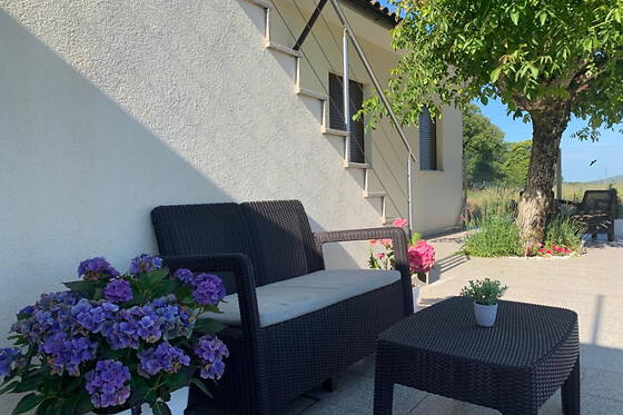 Casa Carvalhal do Esporão - photo 2