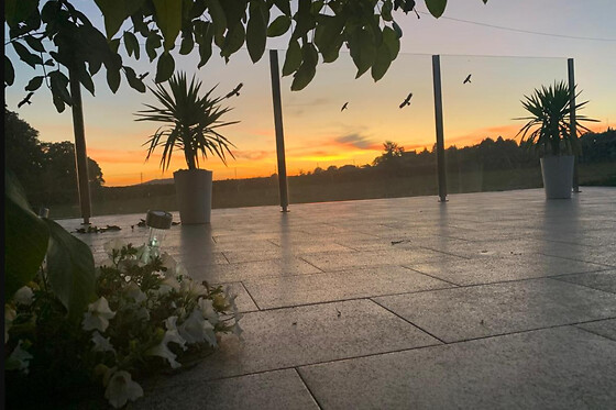 Casa Carvalhal do Esporão - photo 10