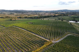 QUINTA DOS TERMOS