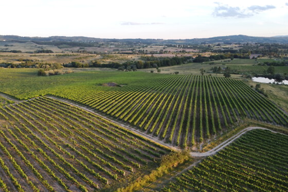 QUINTA DOS TERMOS - photo 1