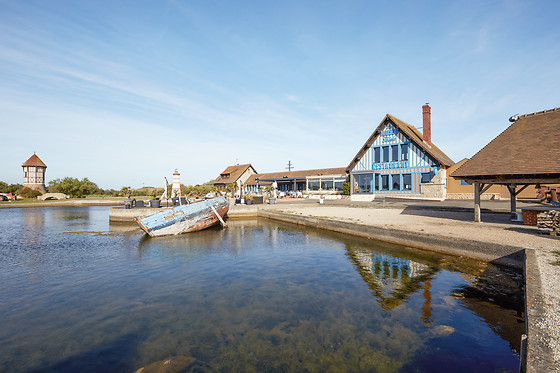 La Maison Bleue - photo 11
