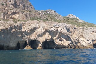 Passeio de barco com observação de golfinhos | 1 Adulto + 1 Criança - 3h | Batnavó - Sesimbra