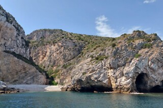Passeio de barco com observação de golfinhos | 1 Adulto + 1 Criança - 3h | Batnavó - Sesimbra
