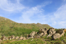 CASA PALACIO CARVAJAL