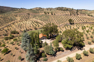 Quinta do Prado - Acushla em Vila Flor (Bragança)