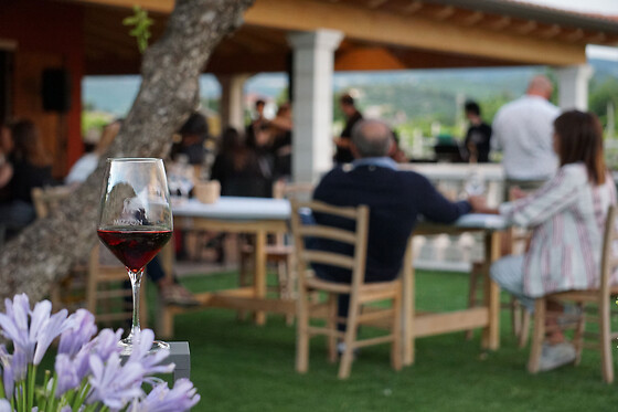 Azienda Agricola Mizzon - photo 3