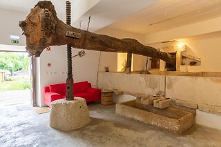 Escapadinha familiar na vila histórica de Alcanede | Meio Center Country House (Santarém)