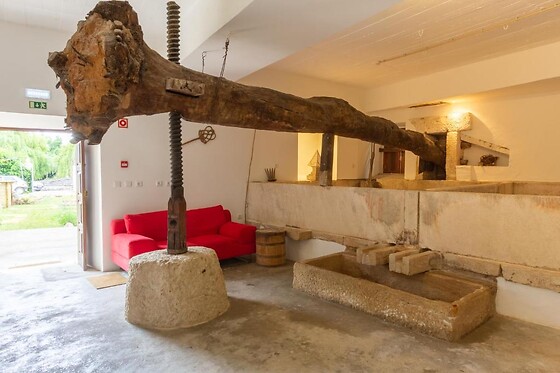 Escapadinha familiar na vila histórica de Alcanede | Meio Center Country House (Santarém)