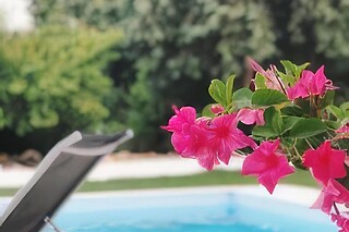 Escapadinha familiar na vila histórica de Alcanede | Meio Center Country House (Santarém)