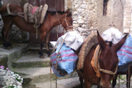 B&B Rupe Antica