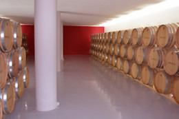 BODEGA SILVANO GARCIA