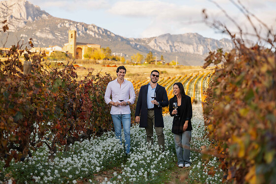 VIÑEDOS Y BODEGAS SIERRA CANTABRIA - photo 3
