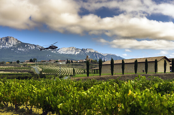 VIÑEDOS Y BODEGAS SIERRA CANTABRIA - photo 9