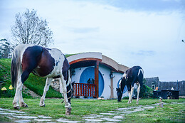 MI TESORO