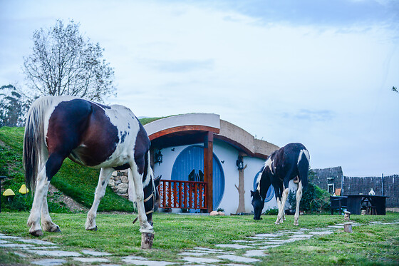 MI TESORO - photo 11