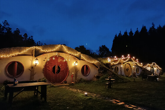 MI TESORO - photo 16