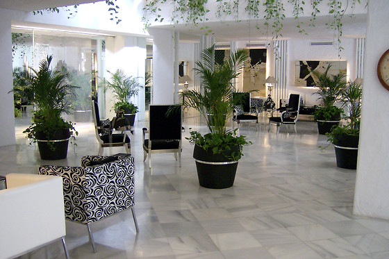 HOTEL SUITES ALBAYZÍN DEL MAR - photo 2