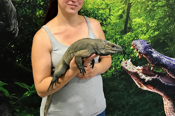 Mike's Reptipark - photo 11