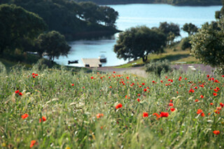 Padel ao ar livre no Alentejo para 2 | Herdade da Cortesia Hotel 4* - Avis