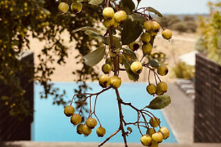 Padel ao ar livre no Alentejo para 2 | Herdade da Cortesia Hotel 4* - Avis