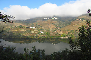 Cruzeiro das 6 pontes para 1 | Manos do Douro - Vila Nova de Gaia