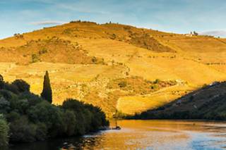 Cruzeiro das 6 pontes para 1 | Manos do Douro - Vila Nova de Gaia
