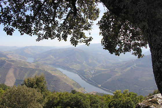 Manos do Douro - photo 5