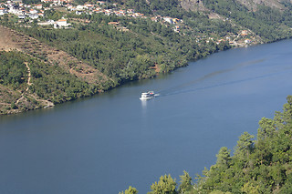 Cruzeiro das 6 pontes para 1 | Manos do Douro - Vila Nova de Gaia