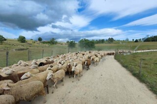 Enoturismo na Covilhã | Passeio pelas vinhas e degustação tradicional para 2 | Quinta do Tapado