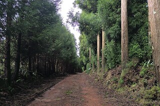 Circuito geológico em Angra do Heroísmo para 1 | Blika - Açores