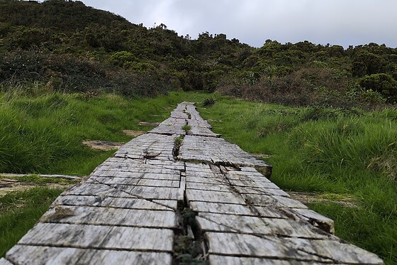 Blika - photo 26