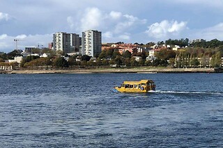 Passeio turístico em anfíbio para 2 | Porto Duck Tours -  Vila Nova de Gaia (Porto)