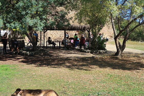 LA ALDEA DE YUSTE - photo 3
