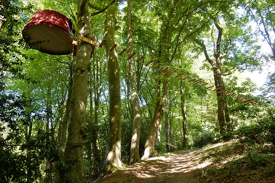 Woody park - photo 7