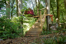 Woody park