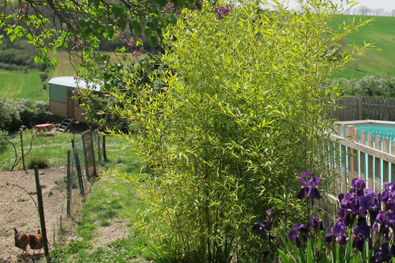 Les roulottes du Lauragais - photo 1
